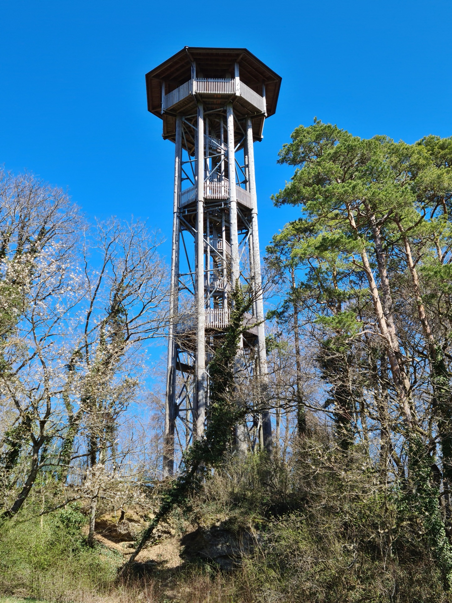 Aussichtsturm (Hochwacht) bei Wildensbuch, Kanton Zürich
